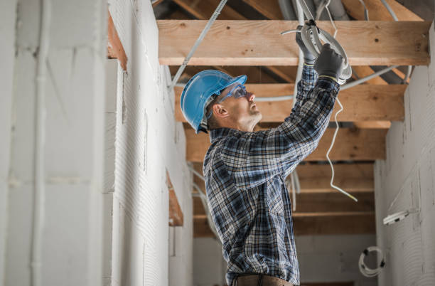 Best Generator Installation Services  in Elk River, MN