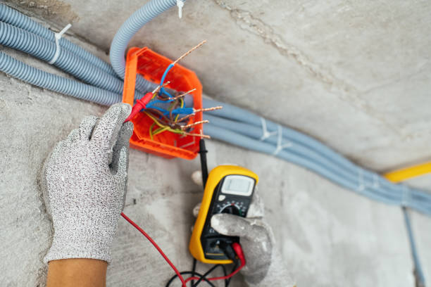 Best Affordable Electrician  in Elk River, MN